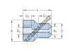 1077455-100MPA-SKF