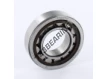 316976-SKF