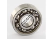 6000-C3-SKF