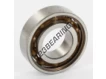 6003-TN9-C3-SKF