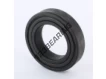 6008-2Z-VA208-SKF