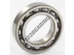 6009-C3-SKF