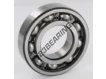 6207-C4-SKF