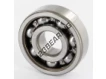 6303-Z-SKF