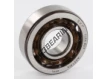 7304-BEP-SKF