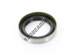 BC-38X54X11-NBR