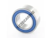 DAC30500020-2RS