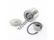 FC40696S12-SNR