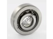 IR3131-SKF