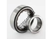 NJ206-ECP-C3-HVA624-SKF