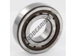 NJ206-ECP-C3-SKF