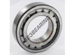 NJ210-ECJ-C3-SKF