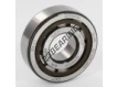 NJ304-ECP-SKF