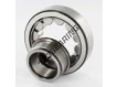 NJ306-ECJ-SKF