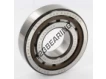 NJ307-ECP-SKF
