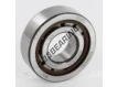 NUP203-ECP-SKF