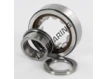 NUP203-ECP-SKF