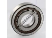 NUP308-ECP-SKF