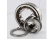 NUP308-ECP-SKF