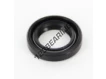 OAS-15X24X5-NBR