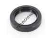 OAS-25.40X35X7-NBR
