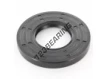 OAS-50X100X12-NBR