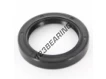 OAS-62X85X12.50-NBR