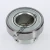 RAE25-NPP-FA106-INA