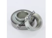 RAE25-NPP-FA106-INA