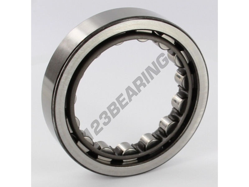 Подшипник rnu 210