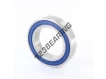 S6010-2RS-FDA-AISI420-ZEN