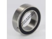 S63009-2RS-INOX