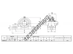 SAP208-24