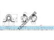SAPP204