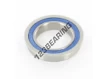 SF61803-2RS-ZEN