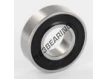 W6002-2RS1-SKF