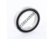 W61909-2RS1-SKF