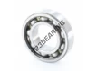 W6653-SKF